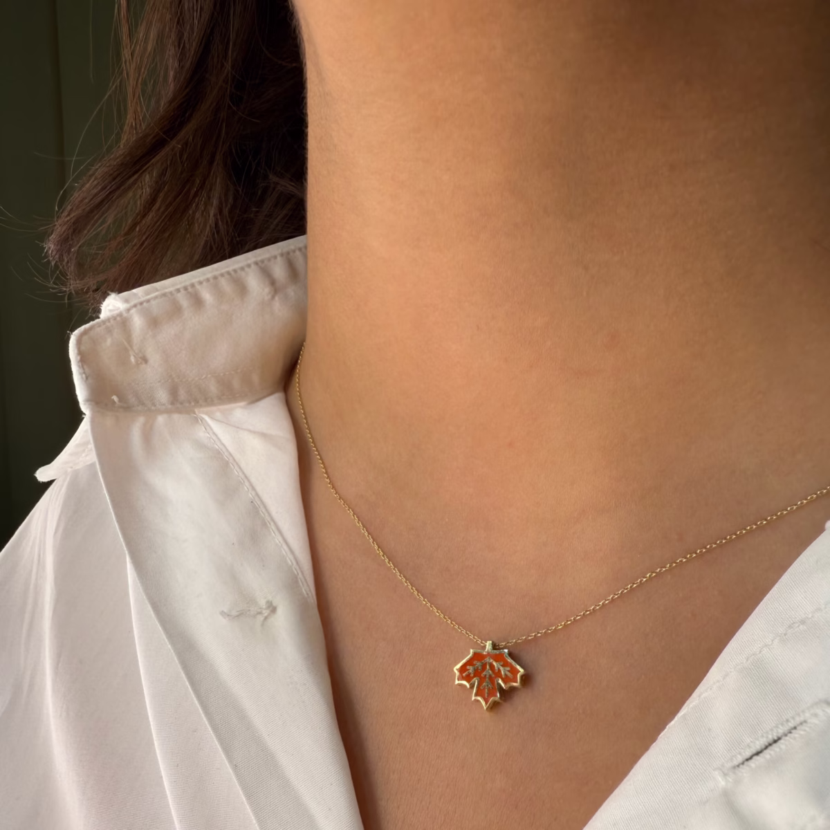 زنجیر وپلاک برگ پاییزی - تصویر 2